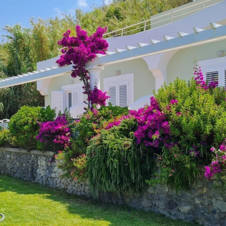Superior Double room with balcony and with sea view (full double bed)