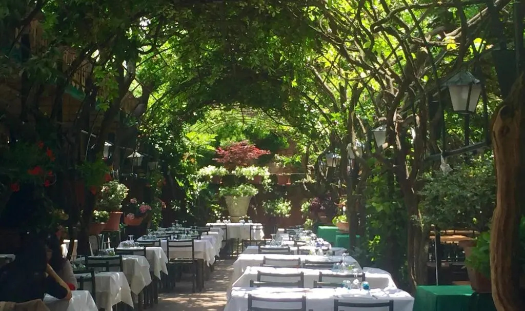 Antica Locanda Montin - Général