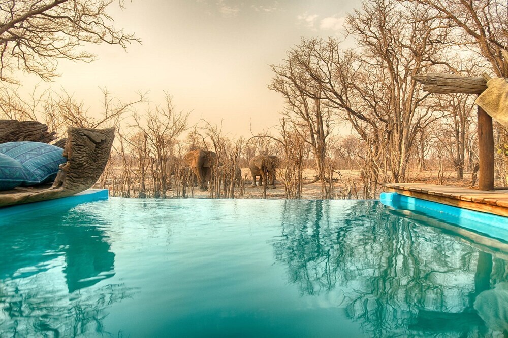 Hyena Pan (Now Elephant Pan) Botswana by null