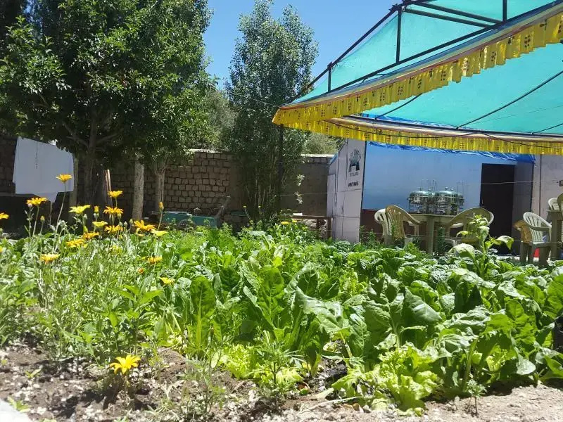 Skyland Guest House