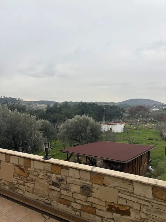 Hotel photo 42