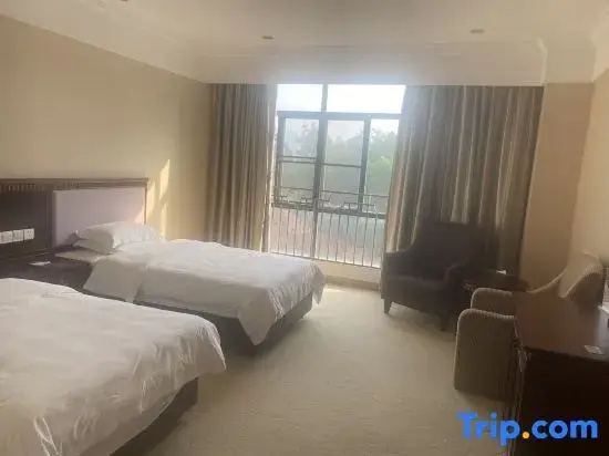 Standard Double room (twin beds)