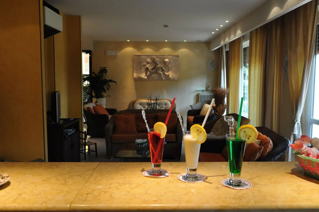 Hotel Alsazia - Général