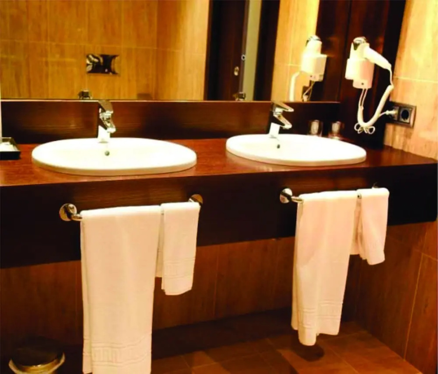 Hotel Villa de Aranda - Chambres
