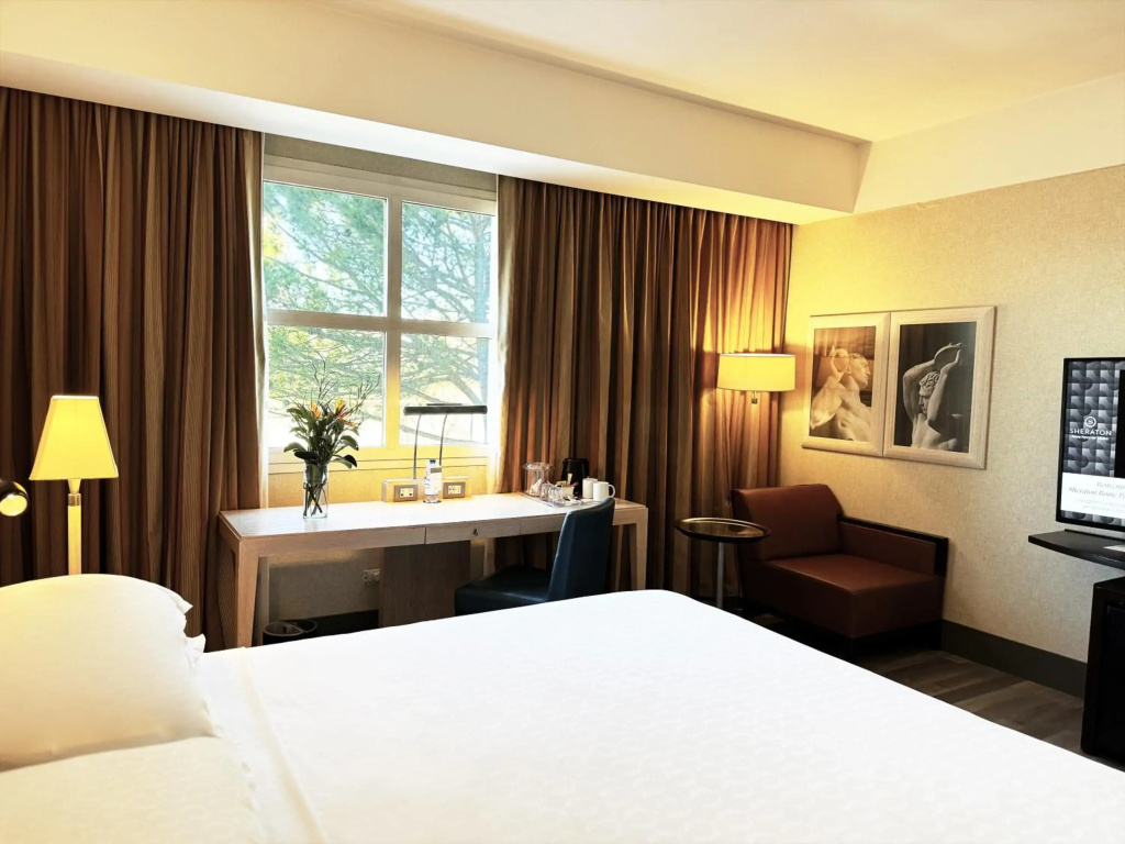 Sheraton Rome Parco de’ Medici - Général