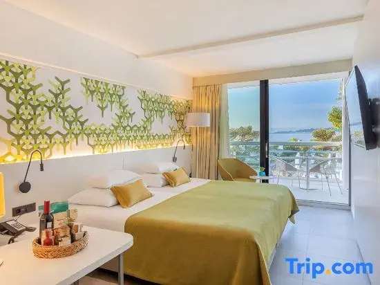 Standard Double room with partial sea view (full double bed)
