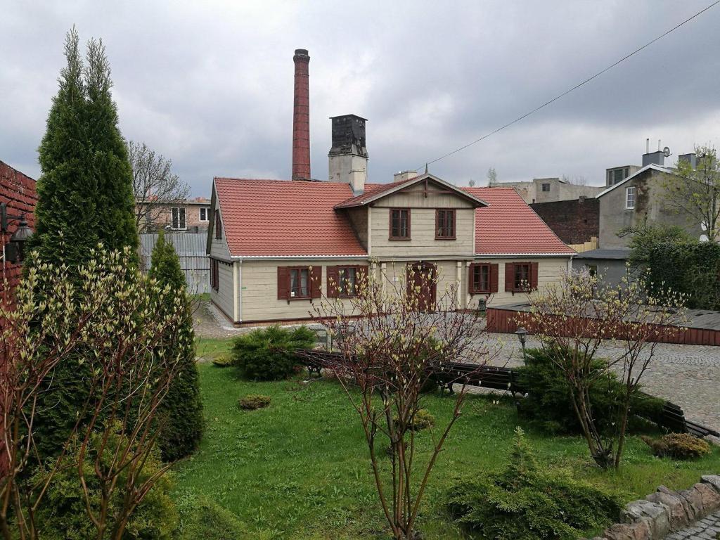 Image 11