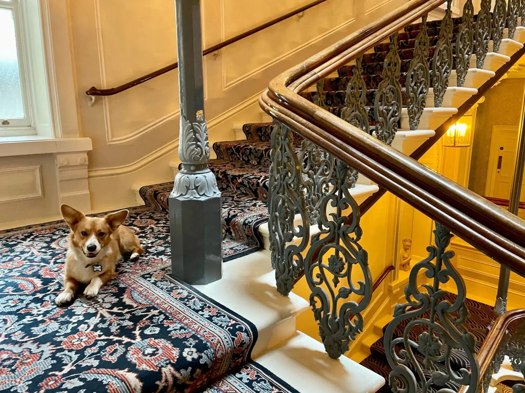 The Grand Brighton - Général
