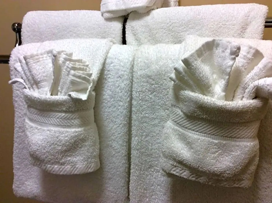 Magic Tree Resort - Chambres