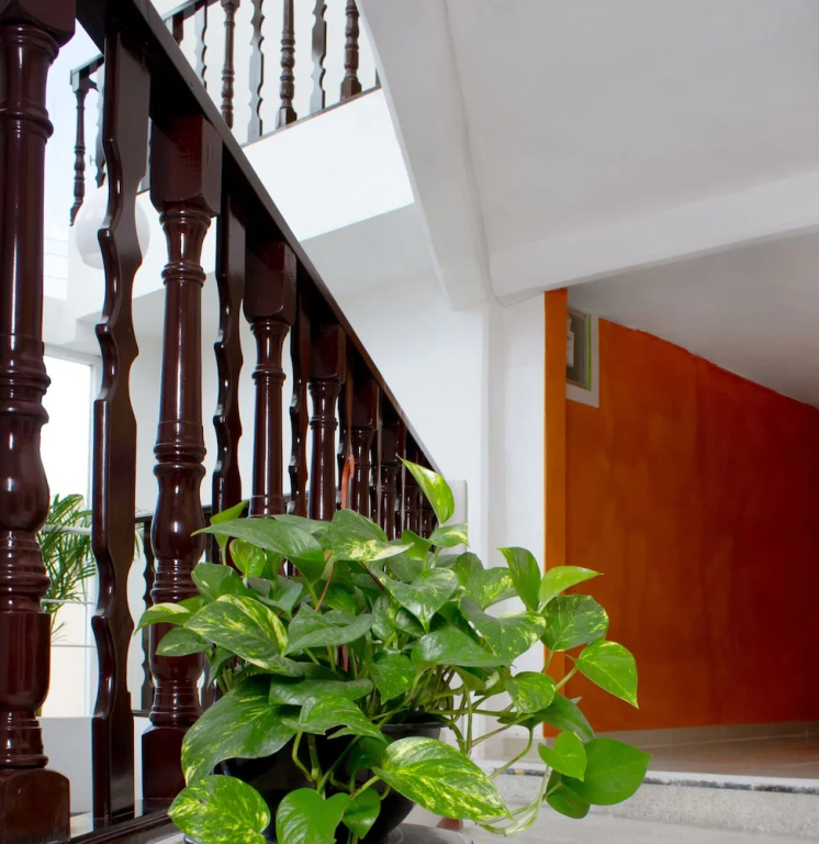 Hotel Reforma