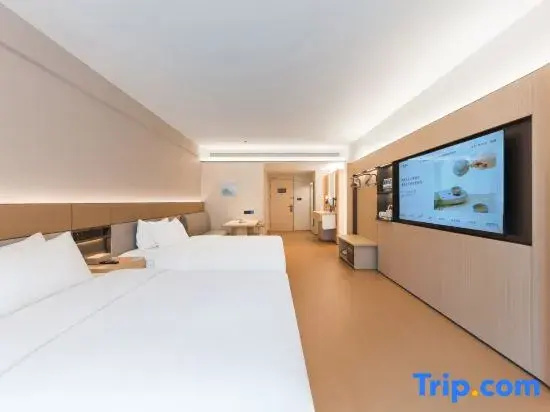 Business Double room (twin beds)