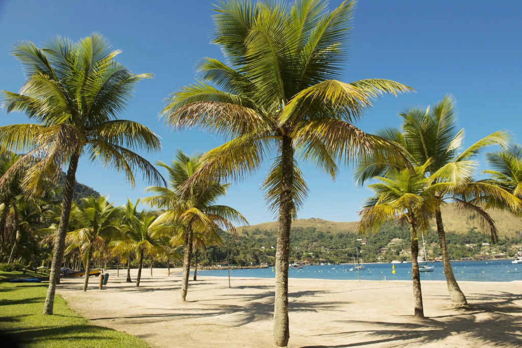 Beach & Waterfront