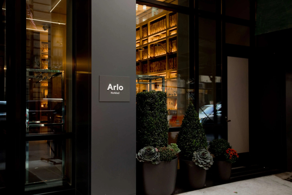Arlo NoMad — фото