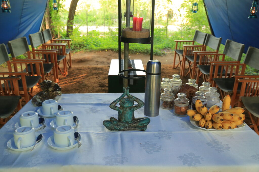 Mahoora Tented Safari Camp - Yala