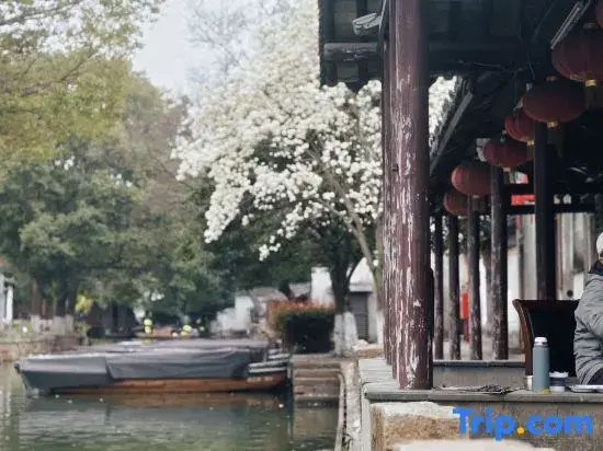 Under the Camphor Tree Sweetly Riverside Vacation Apartment