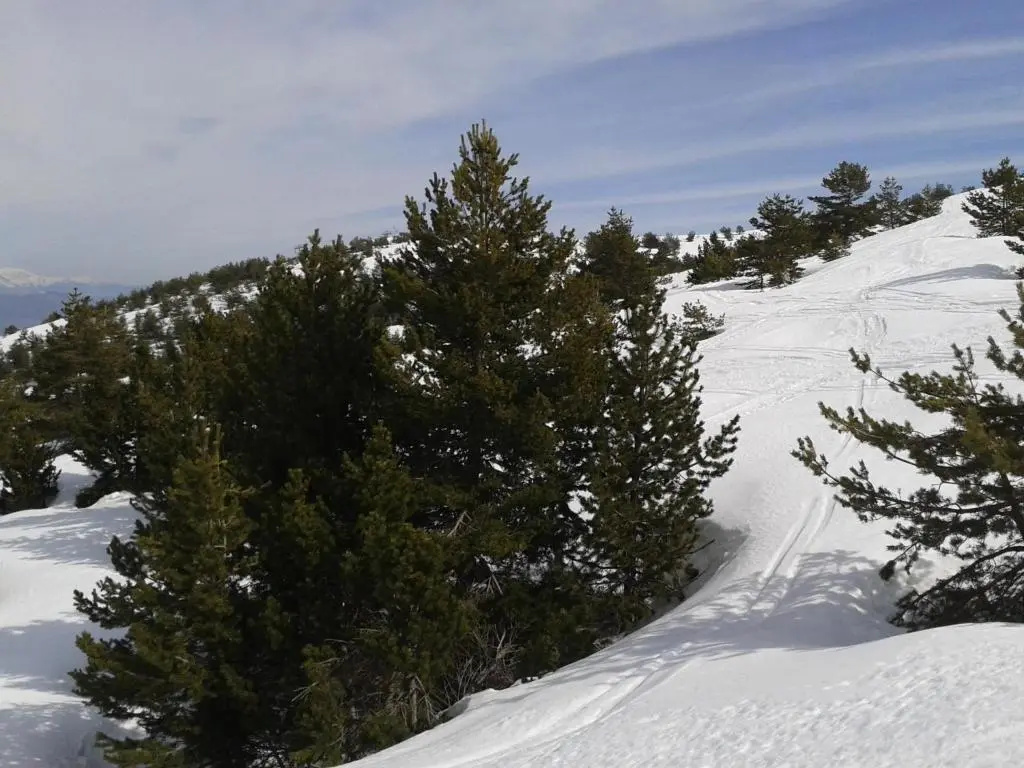 Voir la photo 3 — Apartment Face Aux Pistes