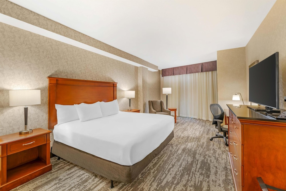 Drury Plaza Hotel St. Louis Brentwood - Chambres