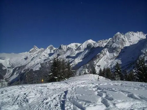 House Chalet savoyard - simplicité, pistes, calme et vue (bat215)