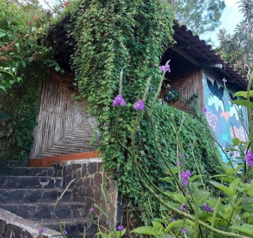 Finca Neblina del Bosque