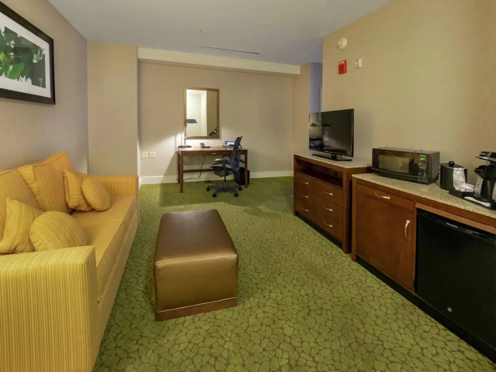 Hilton Garden Inn Buffalo Downtown - Chambres