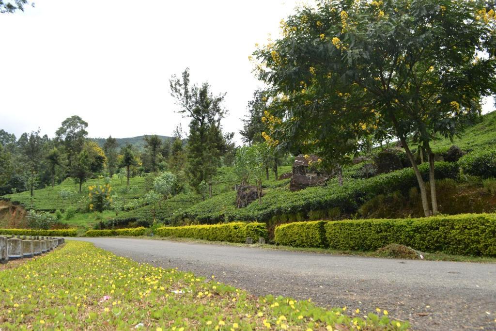 Brockenhurst Bungalow