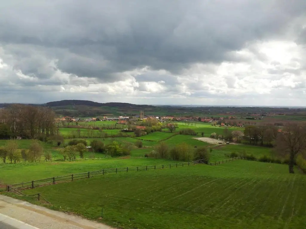 Belvedere - Général