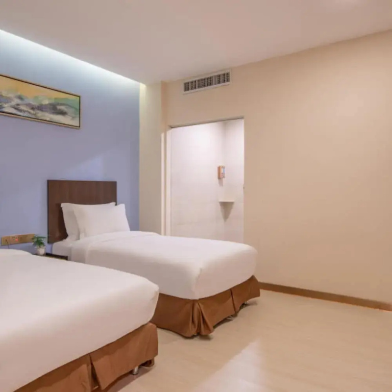 Deluxe Double room (twin beds)