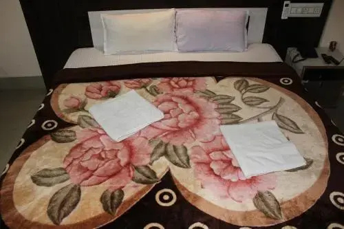 Sun Temple Hotel, Konark - Général