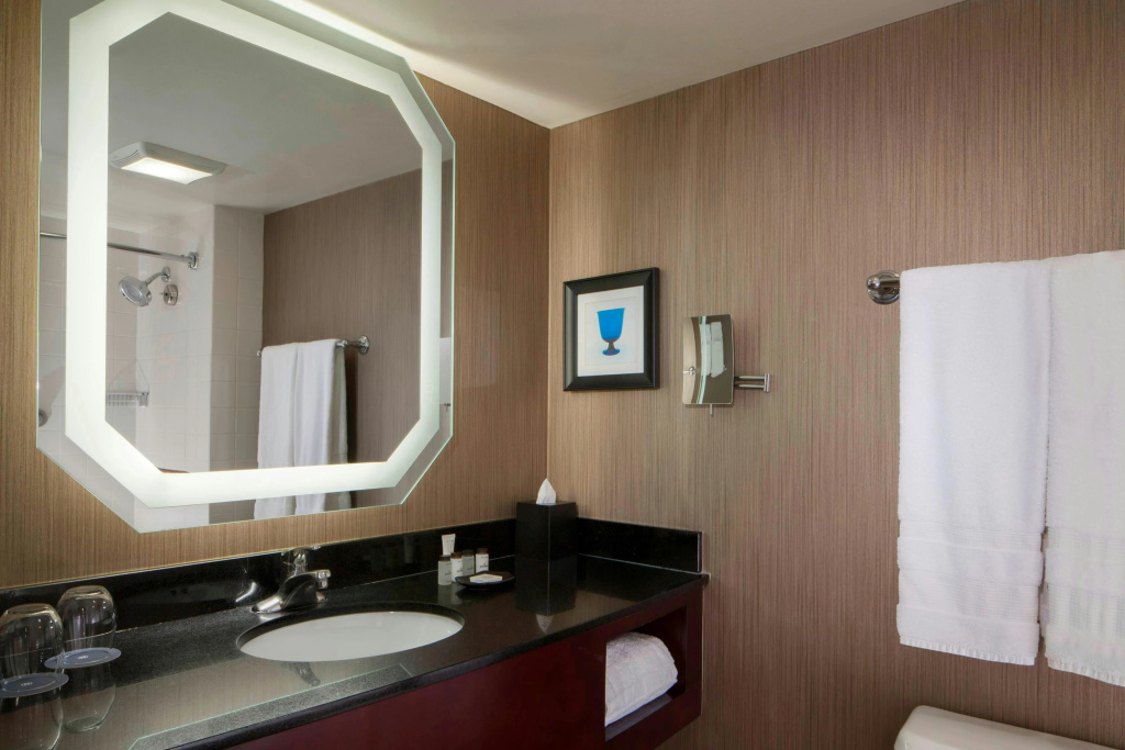 Sheraton DFW Airport Hotel - Général