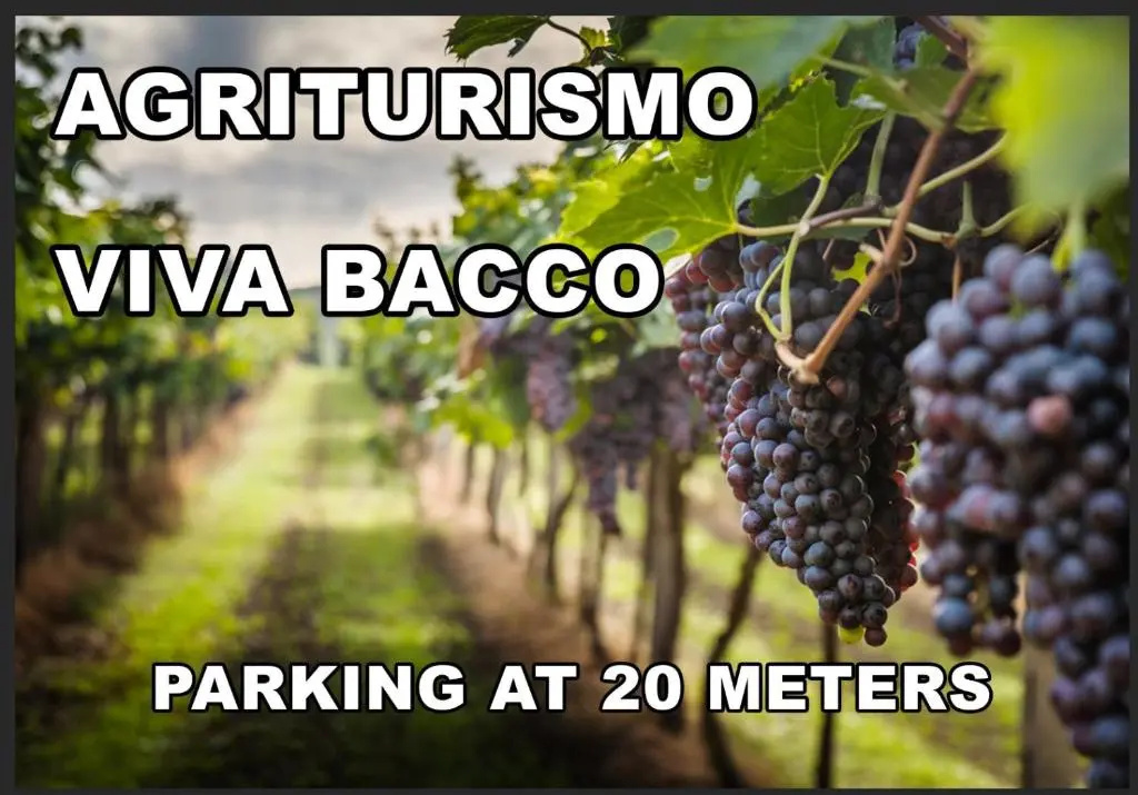 Agriturismo Viva Bacco