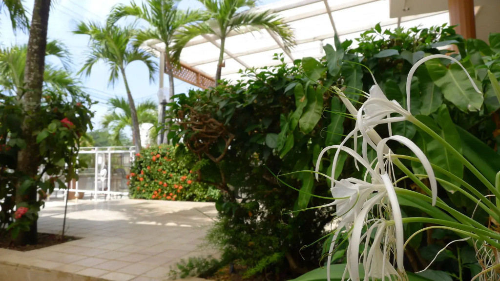 Meridiana Residence - фото 31