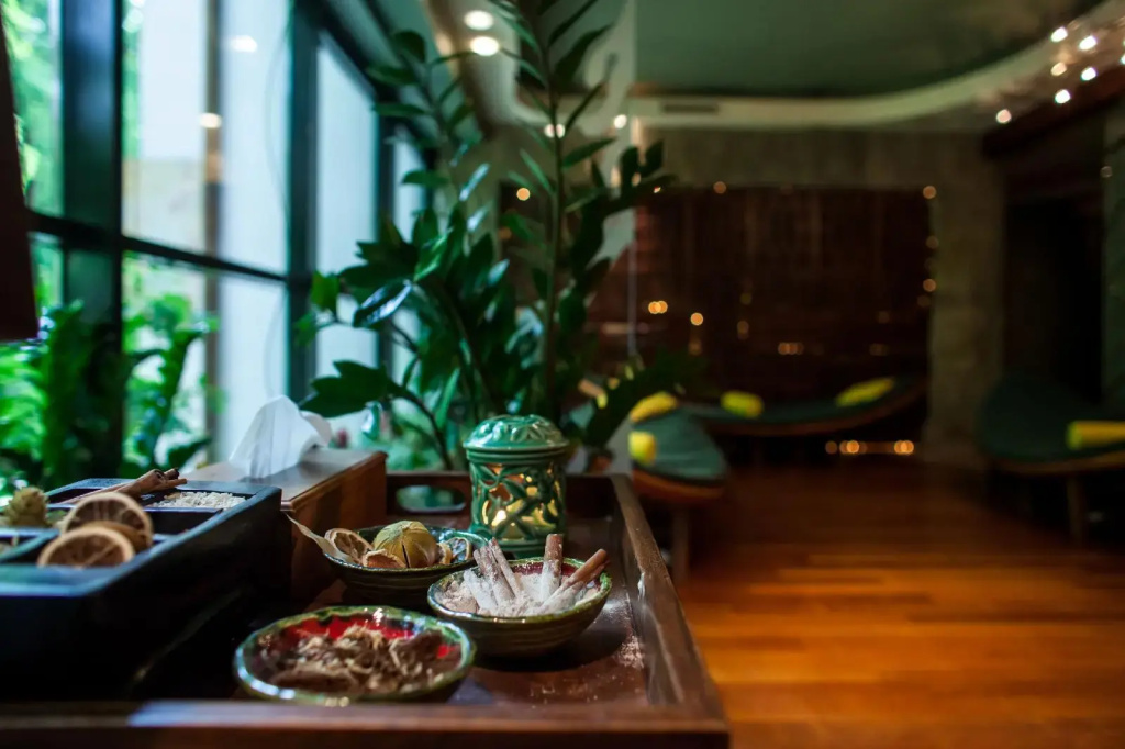Farmona Hotel Business & Spa - Général