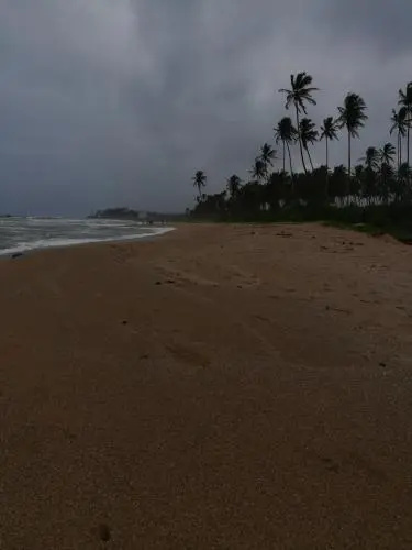 Beach & Waterfront