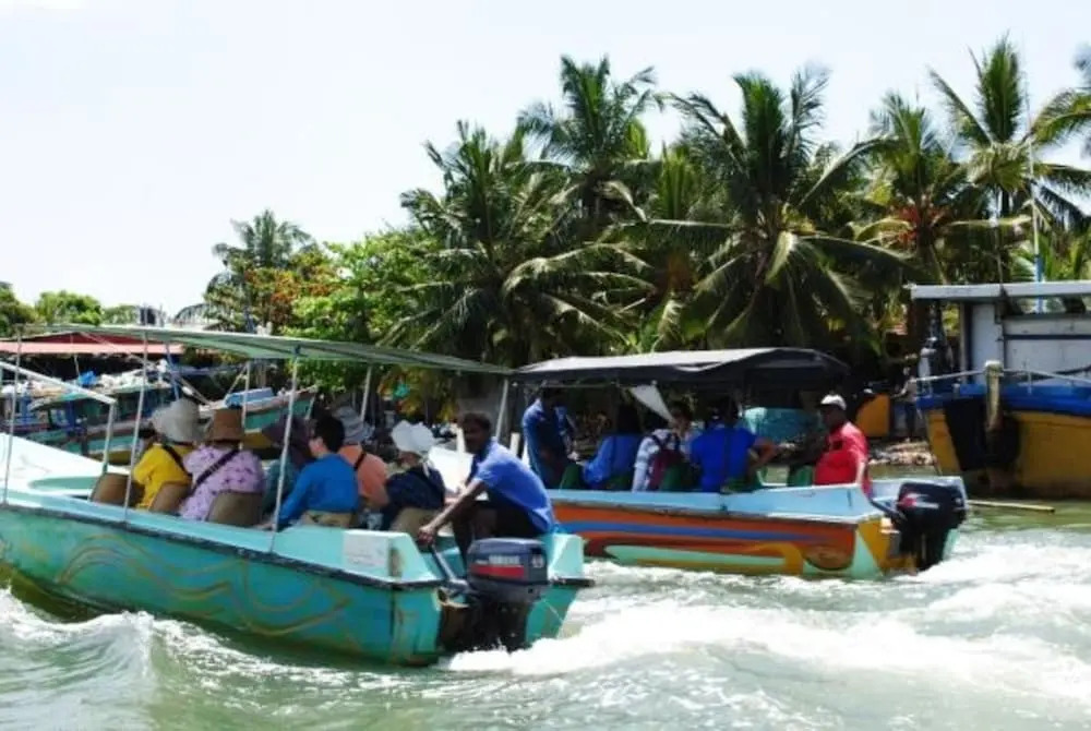 Miura Dutch Edge Hotel - фото 12