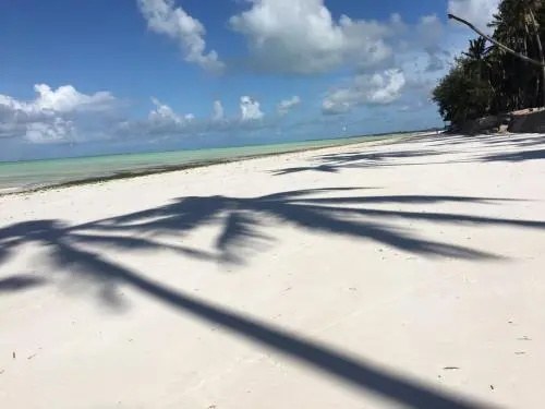 Beach & Waterfront