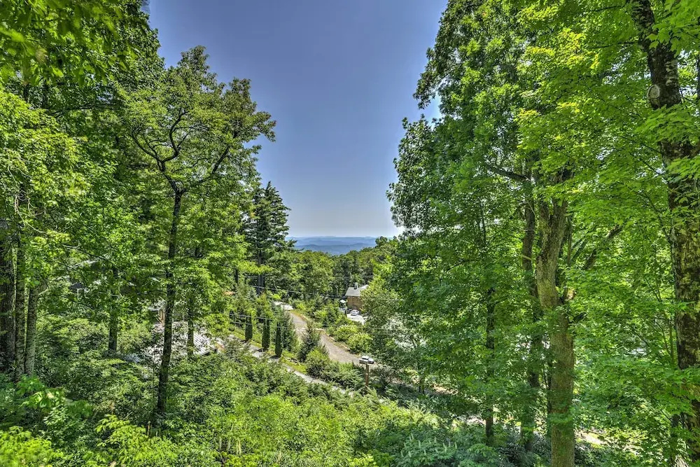 'La Petite Chalet' w/ Views in Blue Ridge Mtns!