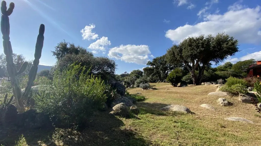 Voir la photo 1 — Belle villa traditionnelle vue mer avec piscine à 1,5 km de la plage de Pinarello