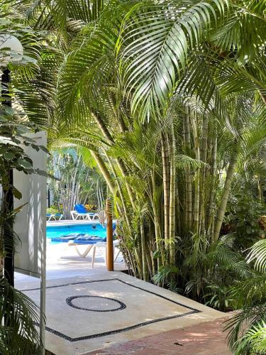 Hotel photo 40
