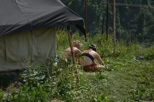 Dhanaulti Camp Homes And Nature Resort