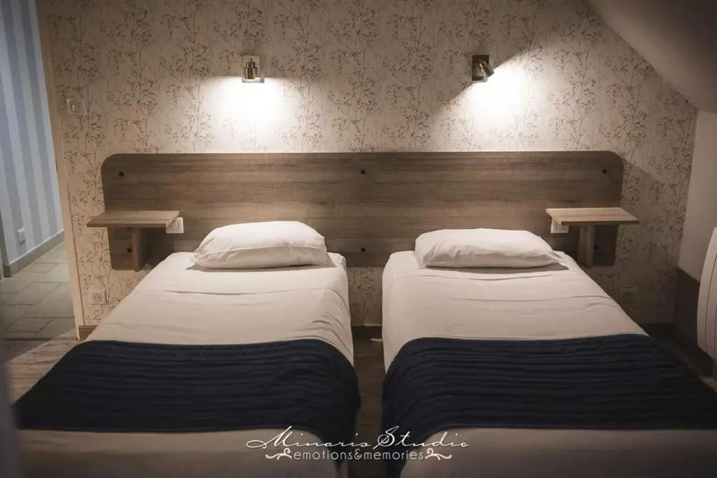 Standard Double room (twin beds)