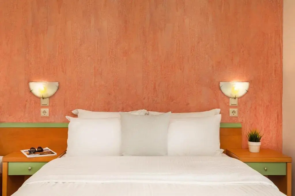 Standard Double room (full double bed)