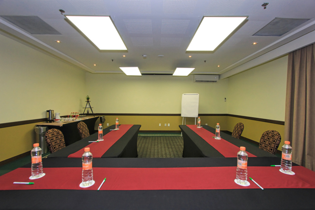 Holiday Inn Leon by IHG - Général