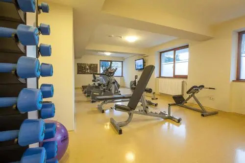 Hohe Rinne Paltinis Hotel & Spa - Général