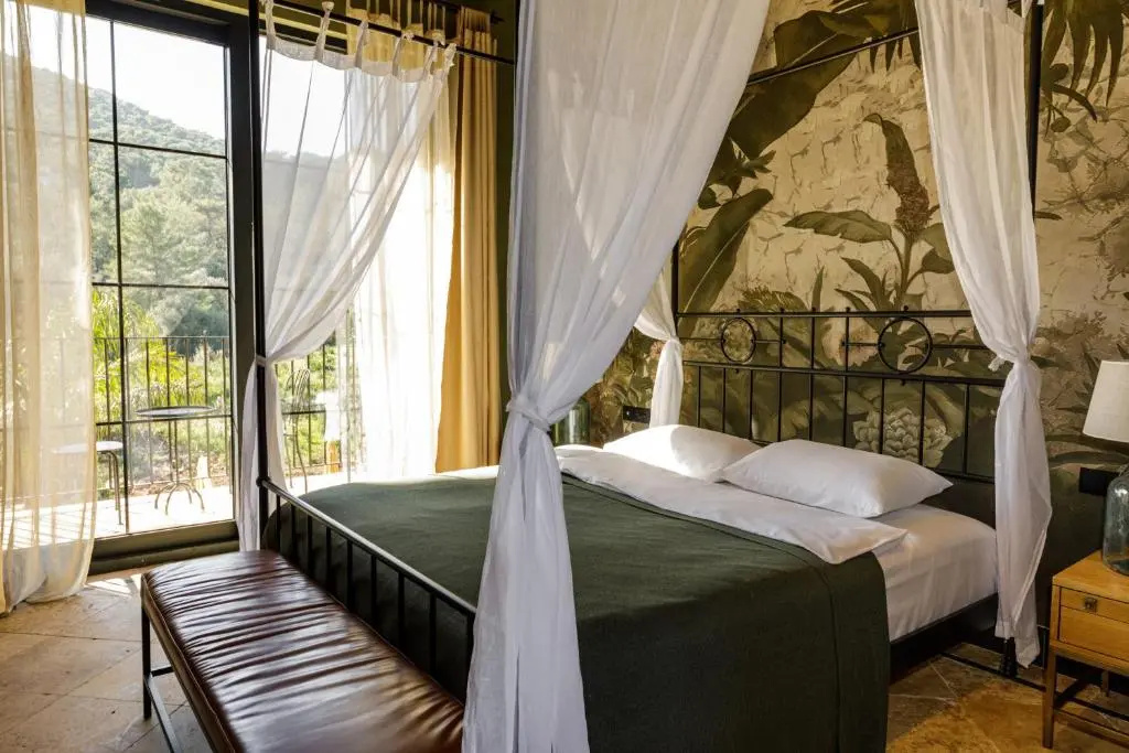 Deluxe Double room with mountain view (full double bed)