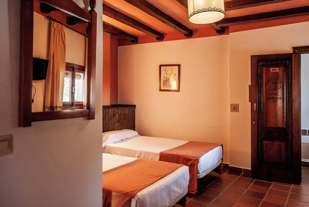 Standard Double room with mountain view (twin beds)