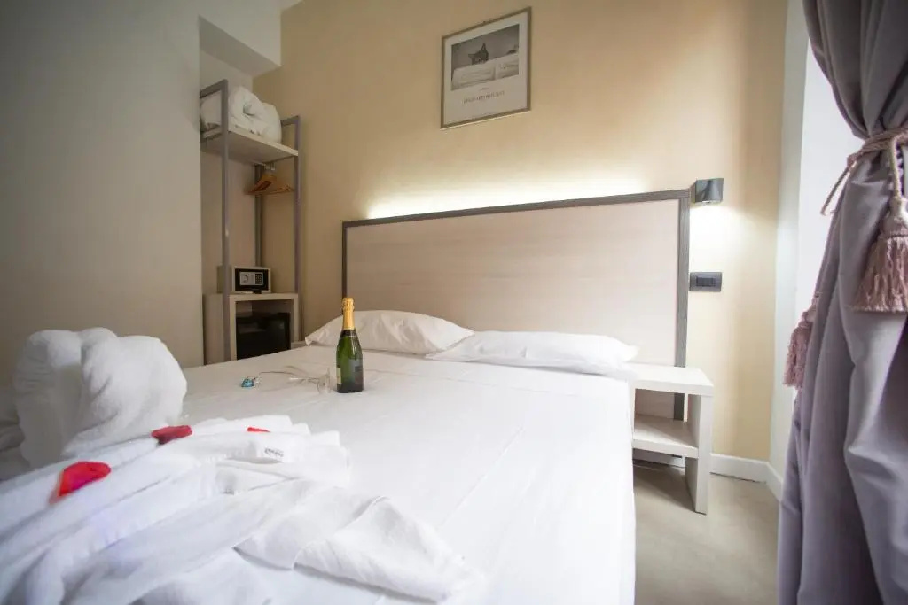 Standard Double room (full double bed)
