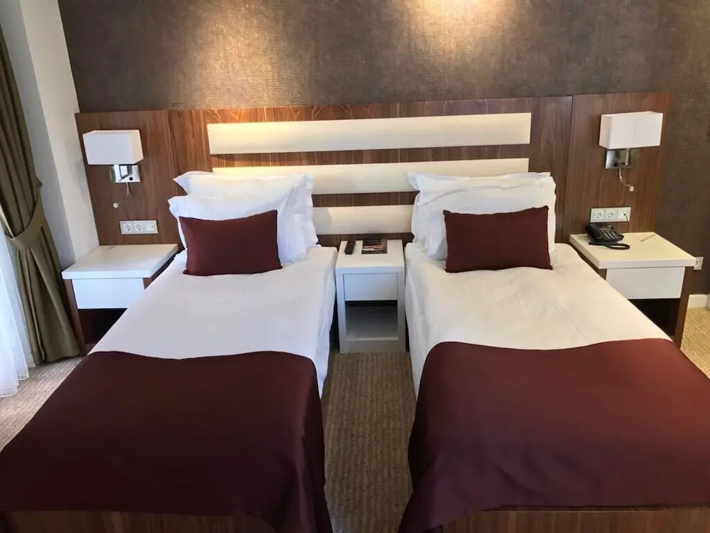 Business Double room (twin beds)