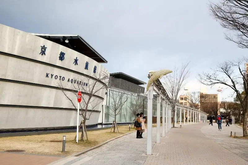 Luxury Home 5 minutes from Nishioji Station   Portable Wifi 사진 14