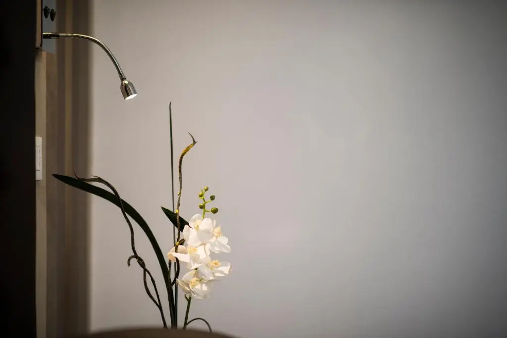 Suite Deal Rome - Chambres