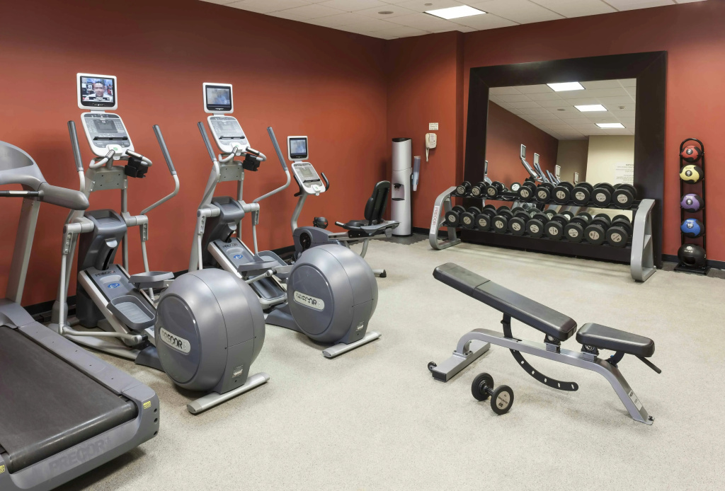 Hilton Garden Inn Dallas Lewisville - Général